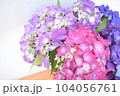 色とりどりのアジサイの切り花 104056761