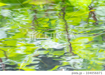 清流 清流 104056871