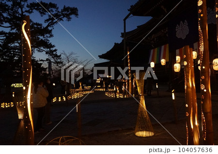 津市　高田本山専修寺の竹あかり 104057636