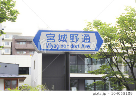 宮城野通・道路通称名板／宮城県仙台市宮城野区榴岡4丁目 104058109