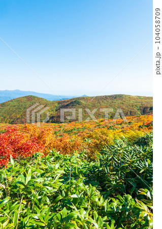 秋の栗駒山登山（産沼コース） 104058709