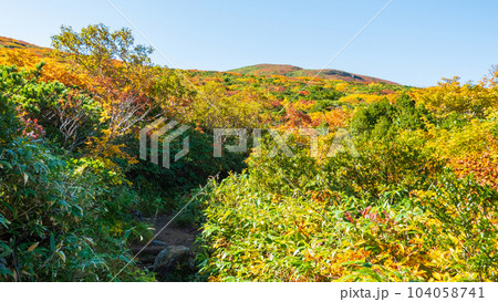 秋の栗駒山登山(産沼コース) 秋の栗駒山登山(産沼コース) 104058741
