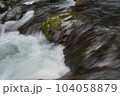 渓流 104058879