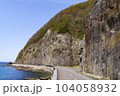 青森県道175号九艘泊脇野沢線沿いの崖 104058932