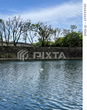 晴れた朝:皇居のお堀の風景/One of Tokyo's landscapes 晴れた朝:皇居のお堀の風景/One of Tokyo's landscapes 104059380