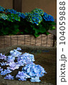 アジサイ・一条恵観山荘・鎌倉 104059888