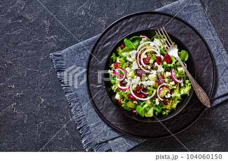 Green Salad with Apple, Cheese, Cranberry in bowl 104060150