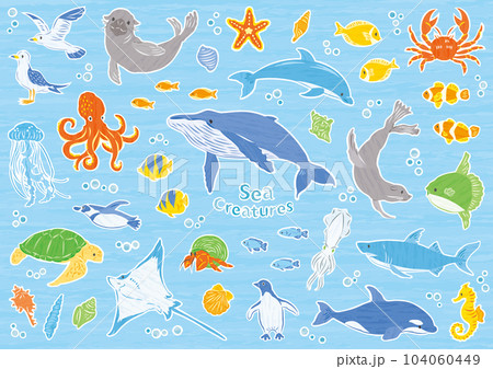海の生き物　イラストセット 104060449