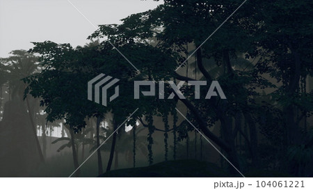 Roots of exotic trees with thicket of shrubs and ferns against sunlight 104061221