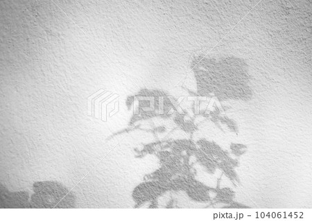 Abstract natural tree leaves shadow on white wall background 104061452