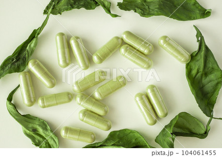 Herbal medicine capsules with Andrographis paniculata leaf on white background 104061455