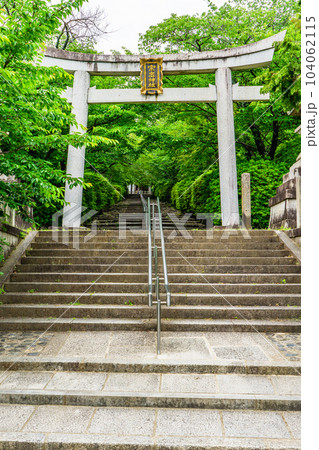 京都市左京区の宗忠神社 鳥居と正参道 京都市左京区の宗忠神社 鳥居と正参道 104062115