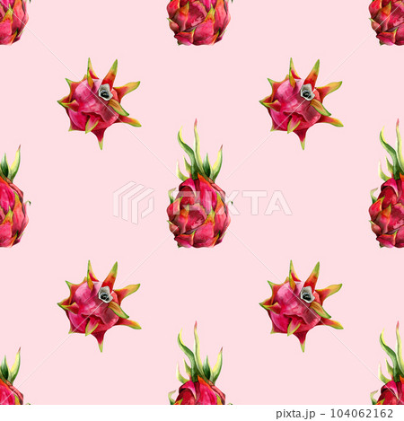 Light Pink pitaya dragon fruits simple seamless pattern with watercolor pitahaya drawings. Minimalist botanical tropical background Light Pink pitaya dragon fruits simple seamless pattern with watercolor pitahaya drawings. Minimalist botanical tropical background 104062162