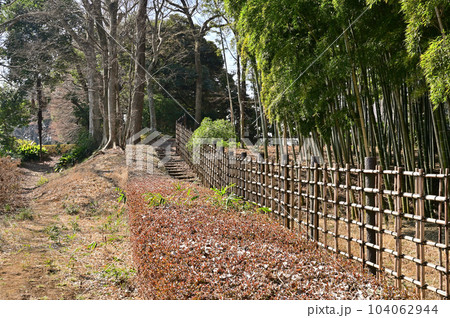 川口散歩：赤山陣屋跡　川口市赤山 104062944