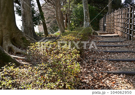 川口散歩：赤山陣屋跡　川口市赤山 104062950