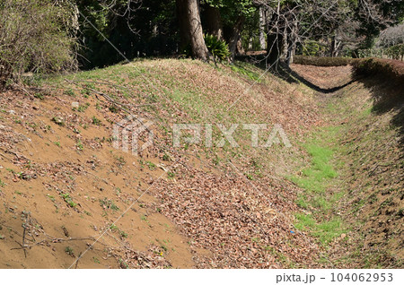 川口散歩:赤山陣屋西堀跡 川口市赤山 川口散歩:赤山陣屋西堀跡 川口市赤山 104062953