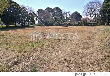 川口散歩：赤山城二の丸跡　川口市赤山 104062955