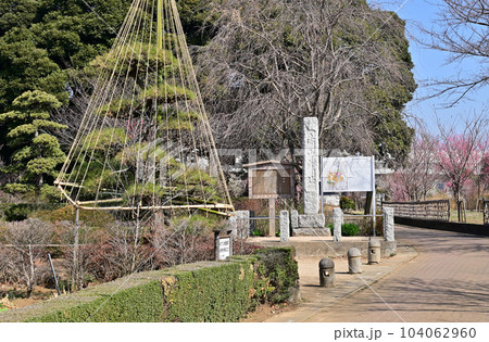 川口散歩：赤山城址碑　川口市赤山 104062960