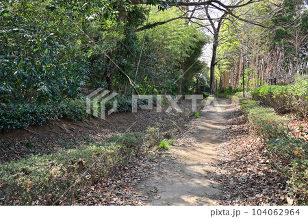 川口散歩：赤山城土塁跡　川口市赤山 104062964
