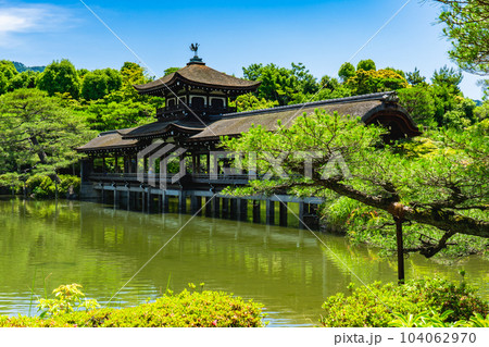 京都市左京区の平安神宮　東神苑の栖鳳池と泰平閣 104062970