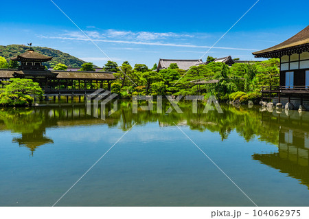 京都市左京区の平安神宮　東神苑の栖鳳池と泰平閣 104062975