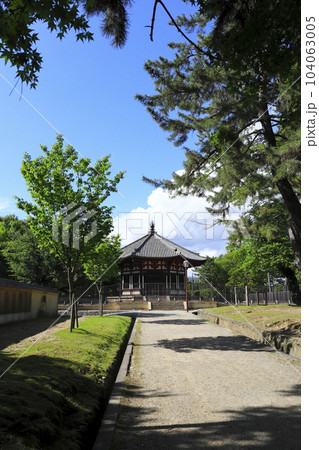 興福寺 参道から北円堂が見える 興福寺 参道から北円堂が見える 104063005