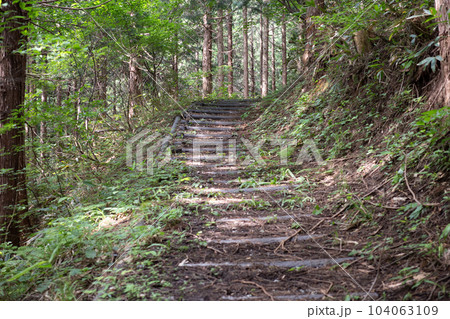 日本の岡山県新見市の花見山のとても美しい風景 日本の岡山県新見市の花見山のとても美しい風景 104063109