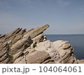 柱状節理の岩場と海 104064061