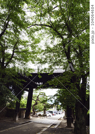 恵林寺の初夏 恵林寺の初夏 104064684