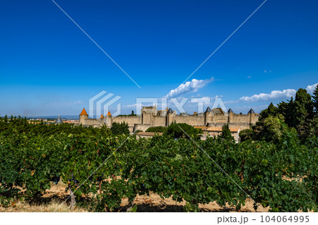 Spectacular Ancient Fortress Of Medieval City Carcassonne And Vineyards In Occitania, France 104064995