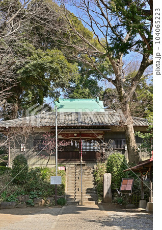 川口散歩:赤山日枝神社 川口市赤山 川口散歩:赤山日枝神社 川口市赤山 104065223