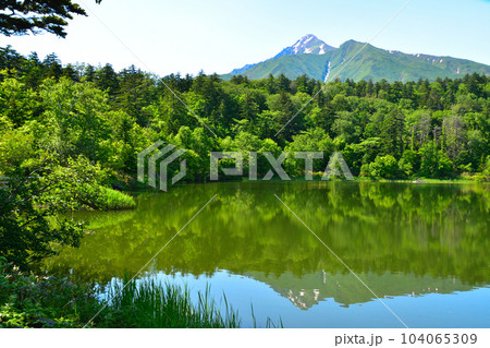 春　利尻島　姫沼 104065309