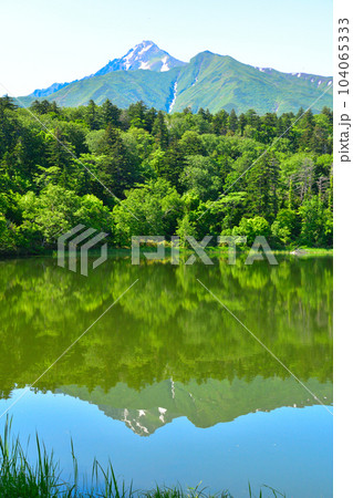 春 利尻島 姫沼 春 利尻島 姫沼 104065333