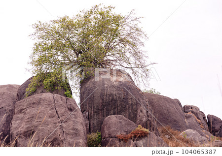 Survival under adverse conditions Survival under adverse conditions 104065387