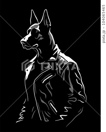 Doberman in a leather jacket on a dark background. Vector illustration. Doberman in a leather jacket on a dark background. Vector illustration. 104065465