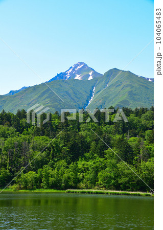 春 利尻島 姫沼 春 利尻島 姫沼 104065483