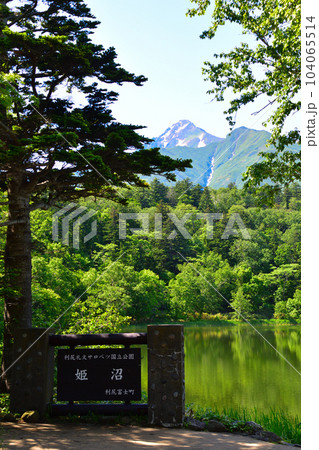 春 利尻島 姫沼 春 利尻島 姫沼 104065514