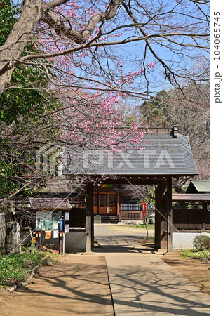 川口散歩:興禅院 曹洞宗 川口市安行領家 川口散歩:興禅院 曹洞宗 川口市安行領家 104065745