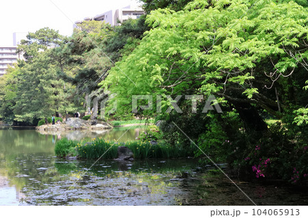 香川_特別名勝_栗林公園 104065913