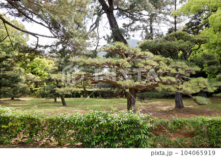 香川_特別名勝_栗林公園 香川_特別名勝_栗林公園 104065919