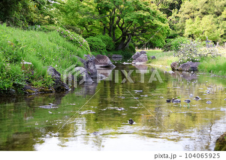 香川_特別名勝_栗林公園 104065925