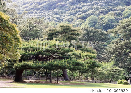 香川_特別名勝_栗林公園 香川_特別名勝_栗林公園 104065929