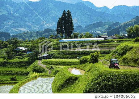 棚田の田植え 棚田の田植え 104066055
