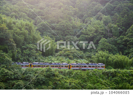 A yellow diesel train is driving in the mountains and forests. 104066085