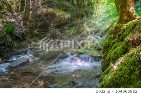 Endert creek, Eifel area, Rhineland-Palatinate, Germany 104066982