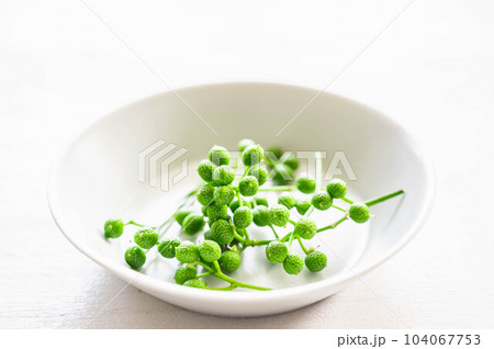 山椒の実 104067753