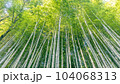 真直ぐに伸びた竹林 104068313