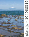 江の島からの相模湾と富士山 104068319