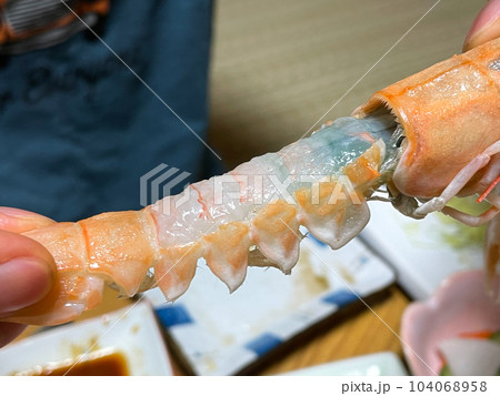 西伊豆の民宿で食べる手長エビの刺身 104068958