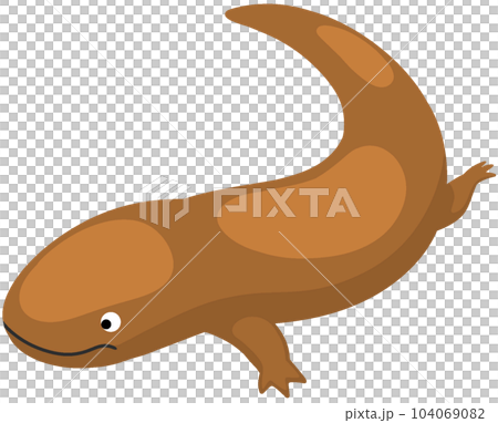 チュウゴクオオサンショウウオ 104069082